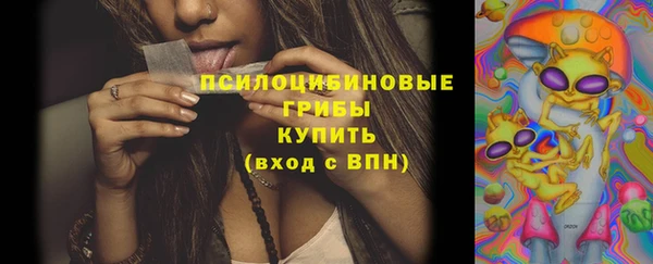 СК Новозыбков