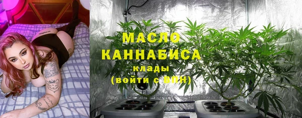 СК Новозыбков
