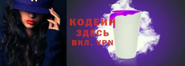 СК Новозыбков