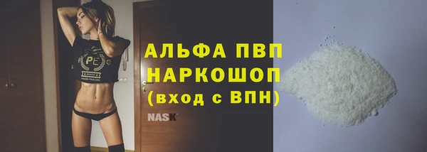 СК Новозыбков